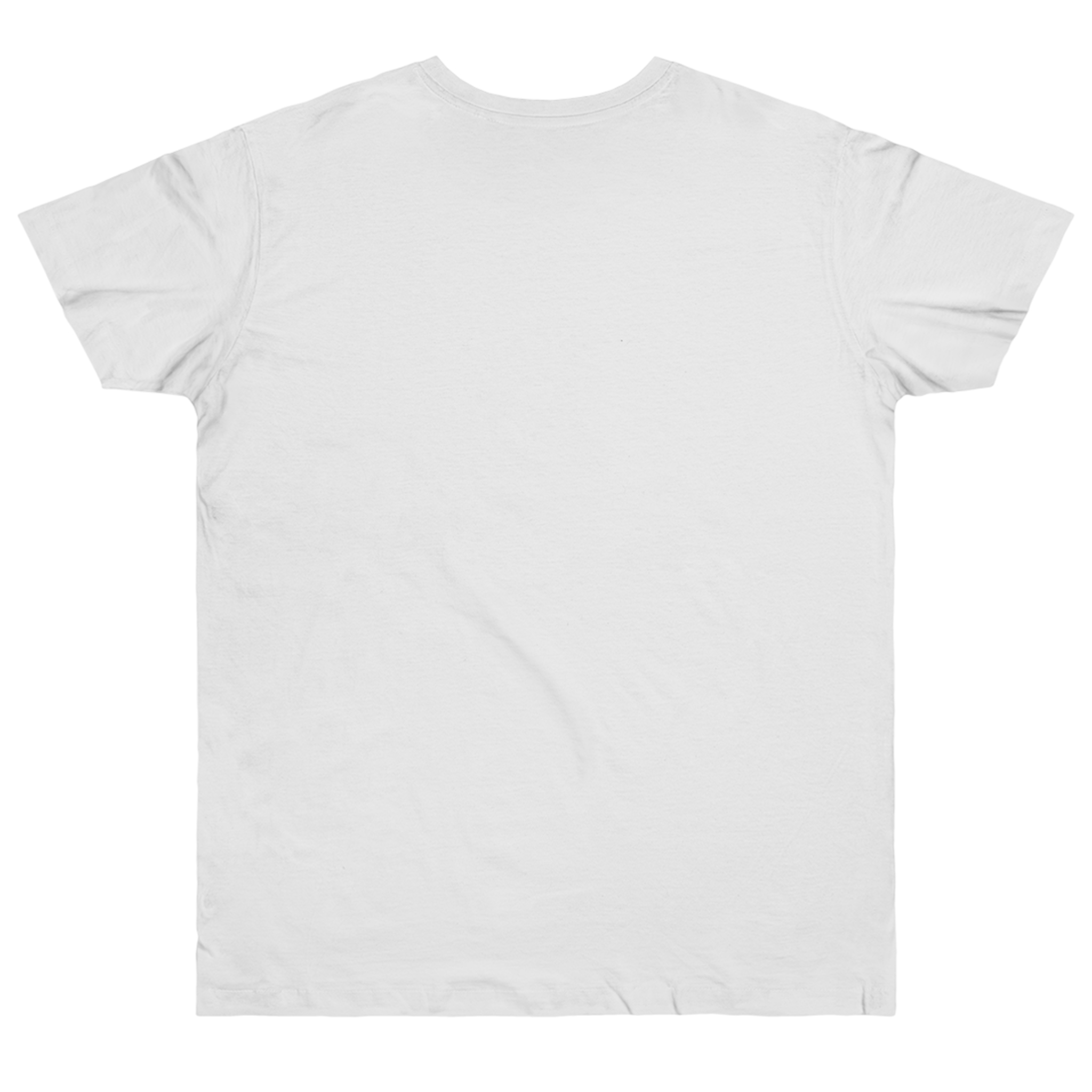 Single Jersey T-shirt - Image 2