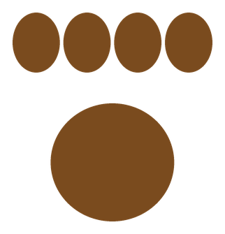 paw